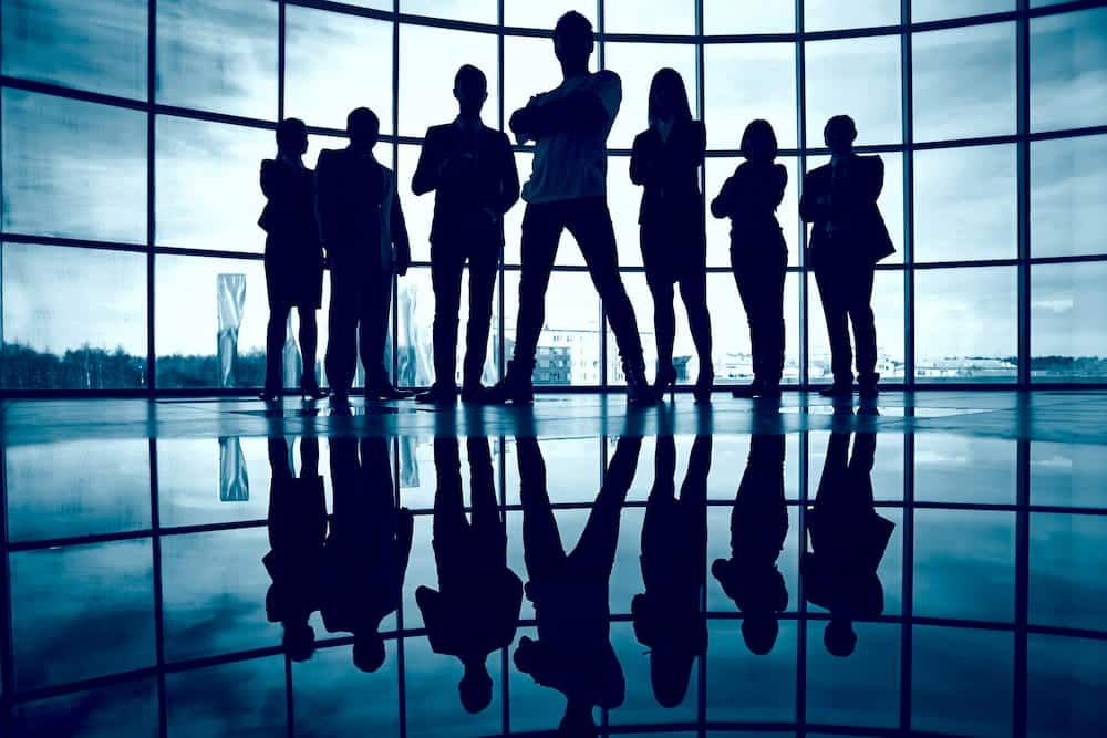 Team di una Blockchain Governance: 7 persone d'affari in piedi all'interno di un ufficio. Sullo sfondo la città.