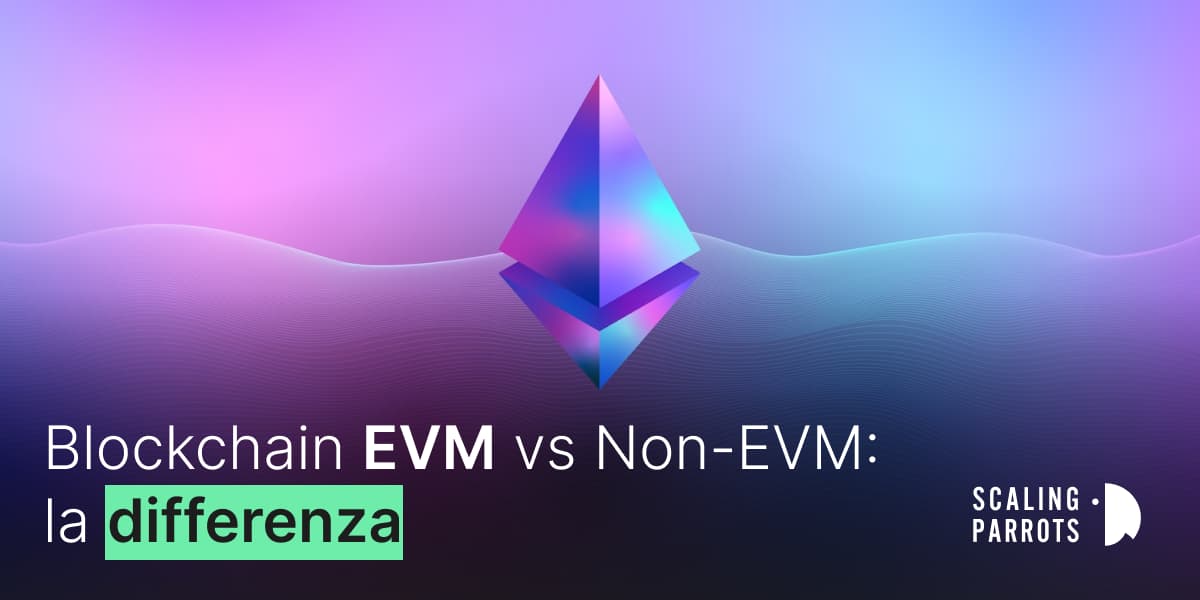 Blockchain EVM Vs. Blockchain Non-EVM
