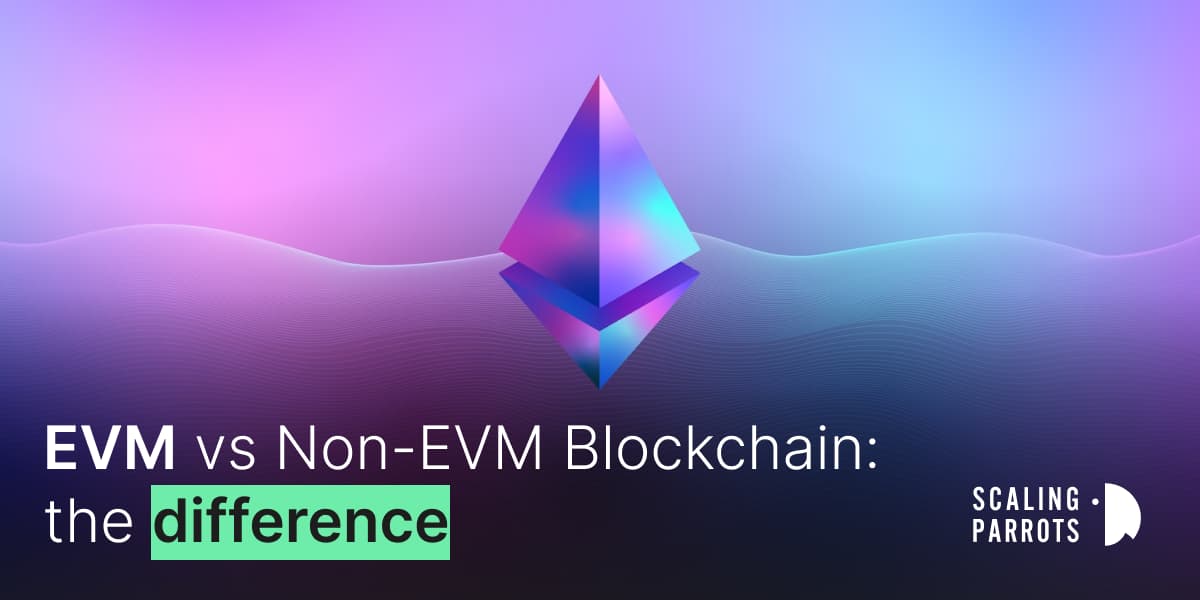 EVM Blockchain Vs. Non-EVM Blockchain