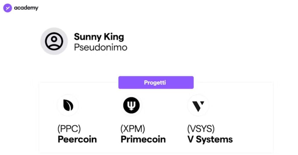 schema dei progetti di Sunny King (inventore della Proof of stake) che sono: PPC, XPM, VSYS.